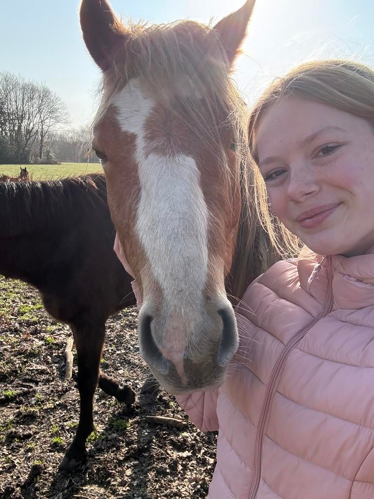 verzorg paard of grote pony gezocht!, Dieren en Toebehoren, Ophalen