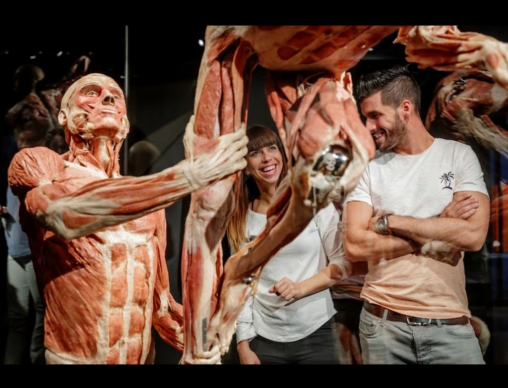 Body worlds amsterdam tickets, Tickets en Kaartjes, Musea, Twee personen, Ticket of Toegangskaart