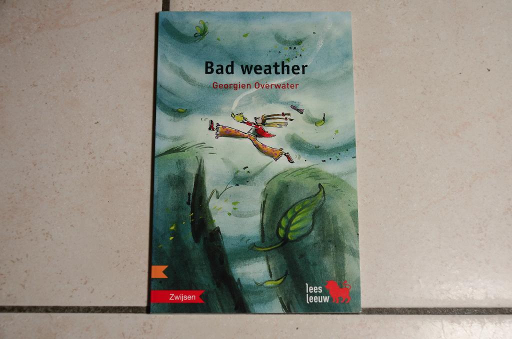 Leesleeuw Engels: Bad weather / Georgien Overwater, Boeken, Ophalen of Verzenden, Zo goed als nieuw, Fictie algemeen