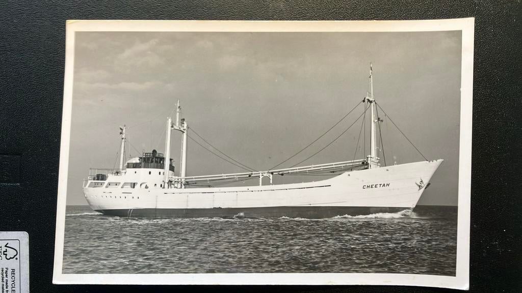 CHEETAH  1960  reder Cremer werf  Westerbroek, Ophalen of Verzenden, Zo goed als nieuw, Kaart, Foto of Prent