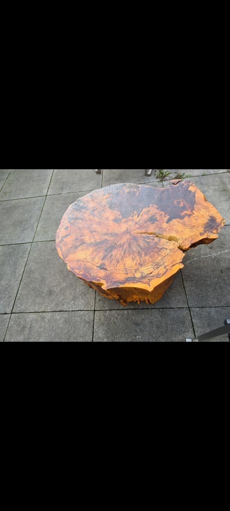 Suar boomstamtafel, Ophalen of Verzenden, Rechthoekig, 50 tot 100 cm, Minder dan 50 cm