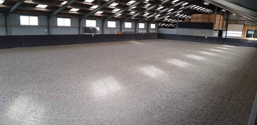 Stalling Stal Reitsma Pingjum, Dieren en Toebehoren, Stalling en Weidegang, Weidegang