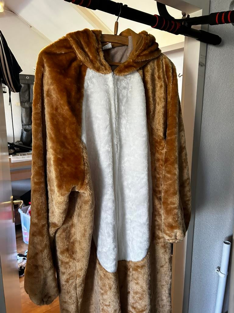 Paashaas pak. Konijnenpak, Kleding | Heren, Carnavalskleding en Feestkleding, Ophalen of Verzenden, Gedragen, Maat 52/54 (L)