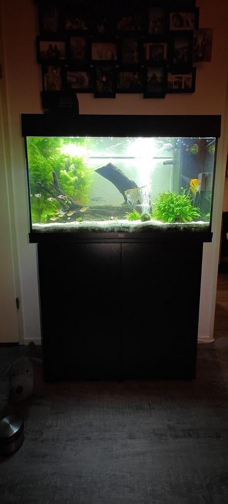 Mooie Juwel aquarium incl kast, Dieren en Toebehoren, Vissen | Aquaria en Toebehoren, Ophalen, Gebruikt, Overige typen