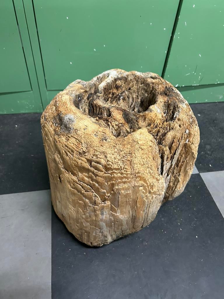 Drijfhout, Ophalen of Verzenden