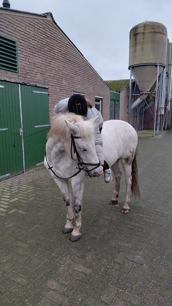 Verzorgster aangeboden/bijrijder aangeboden, Ophalen of Verzenden