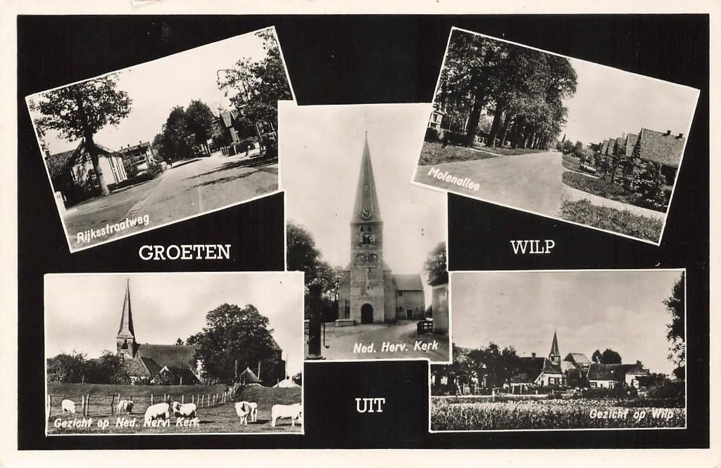 Groeten uit Wilp, Verzamelen, Ansichtkaarten | Nederland, Ophalen of Verzenden, 1940 tot 1960, Gelopen, Gelderland