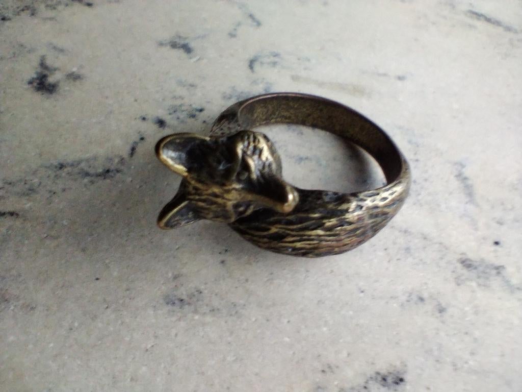 Vos Ring - Uniek Design, 18 tot 19, Gebruikt, IJzer of Staal, Ophalen of Verzenden