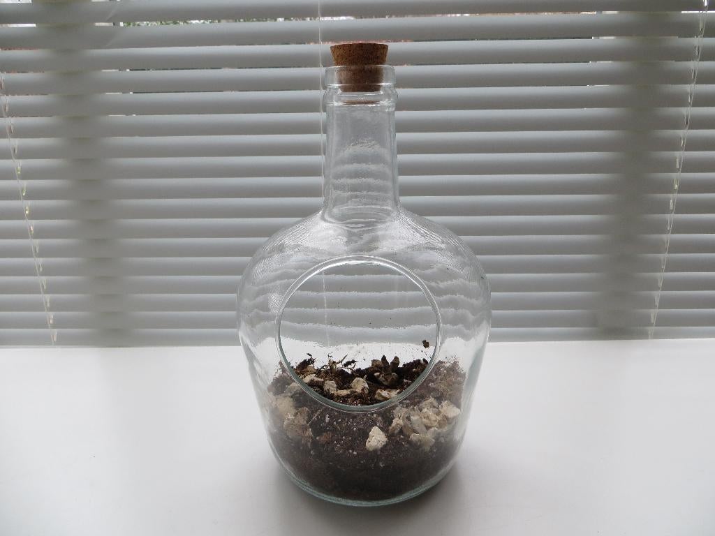 Terrarium Miniatuur Indoor Garden Eco Grote vaas met Kurk, Overige kleuren, Ophalen of Verzenden, Minder dan 50 cm, Glas