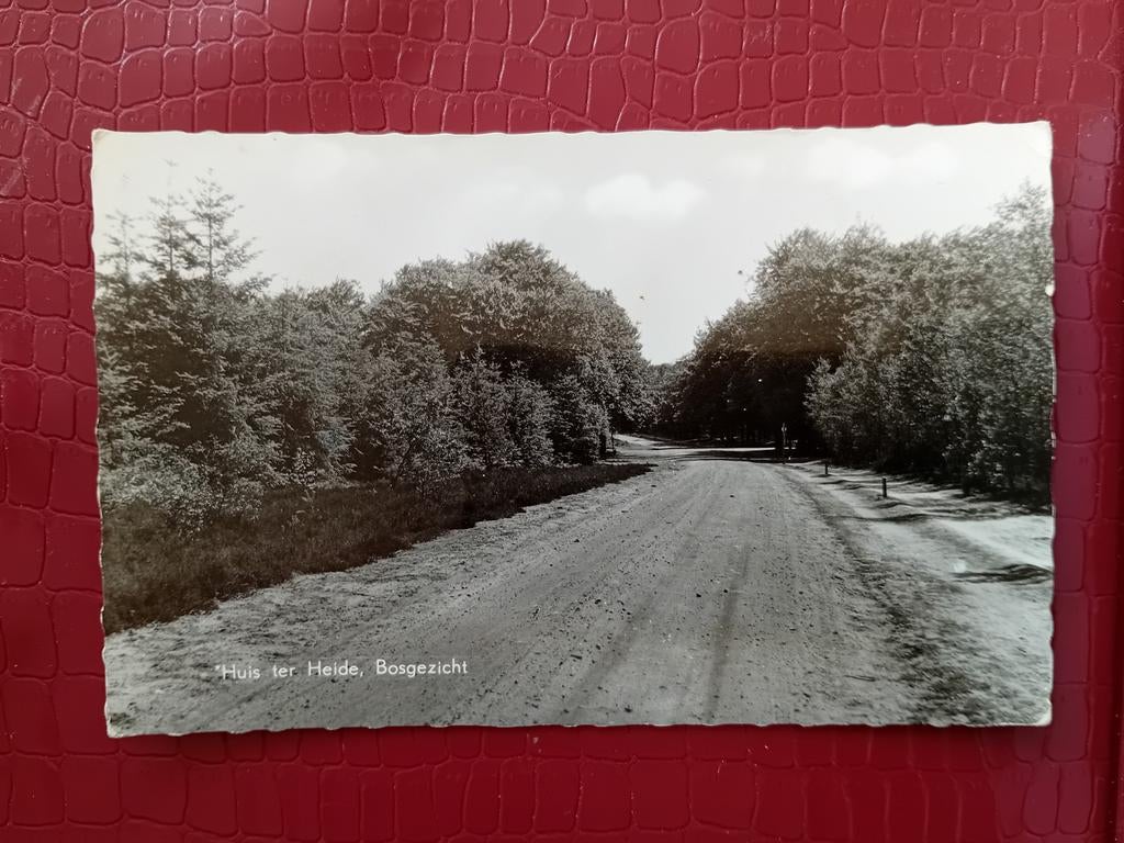 Ansichtkaart Huis ter Heide, Verzamelen, Ansichtkaarten | Nederland, Ophalen of Verzenden, Utrecht