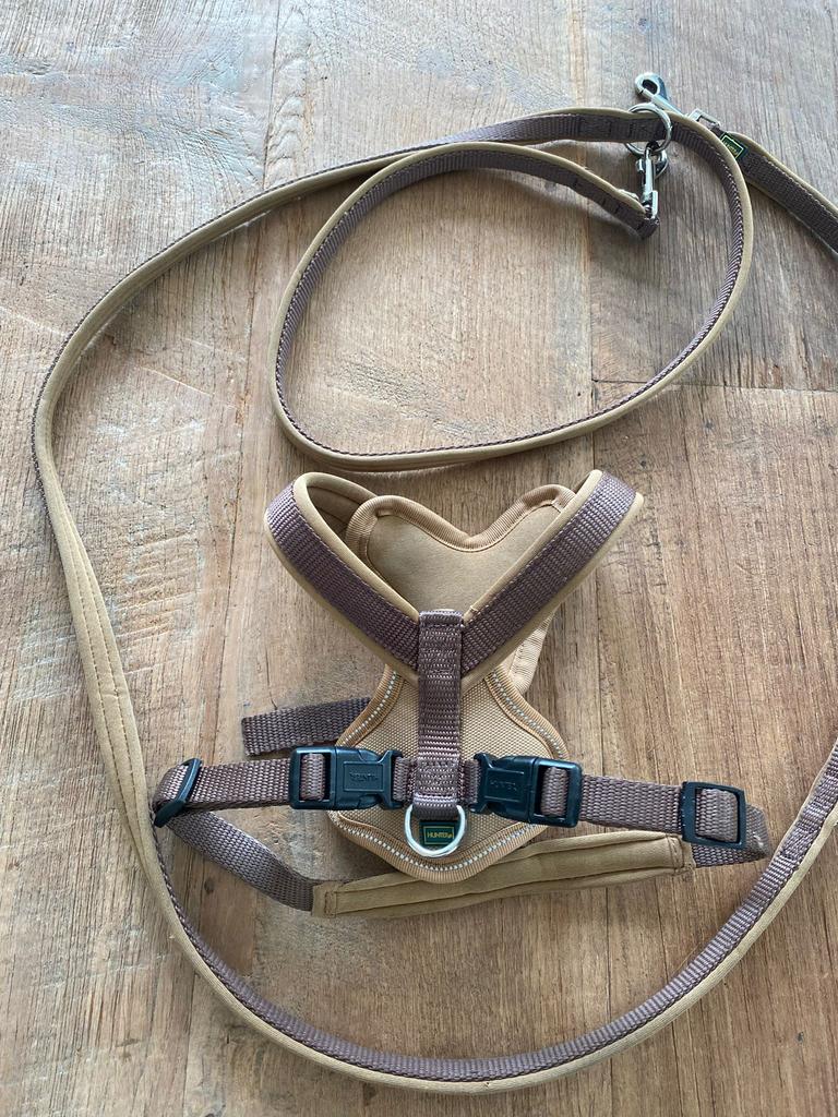 Y-tuigje en riem maat S, Dieren en Toebehoren, Ophalen of Verzenden, Zo goed als nieuw