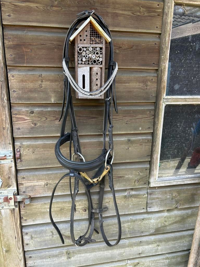 Hoofdstel maat full, Dieren en Toebehoren, Ophalen of Verzenden, Gebruikt, Dressuur