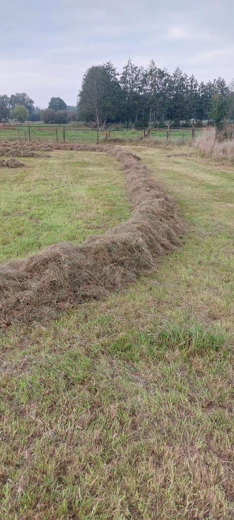 Midibalen 2de snede nog 8 stuks, Dieren en Toebehoren, Dierenvoeding, Ophalen, Vee