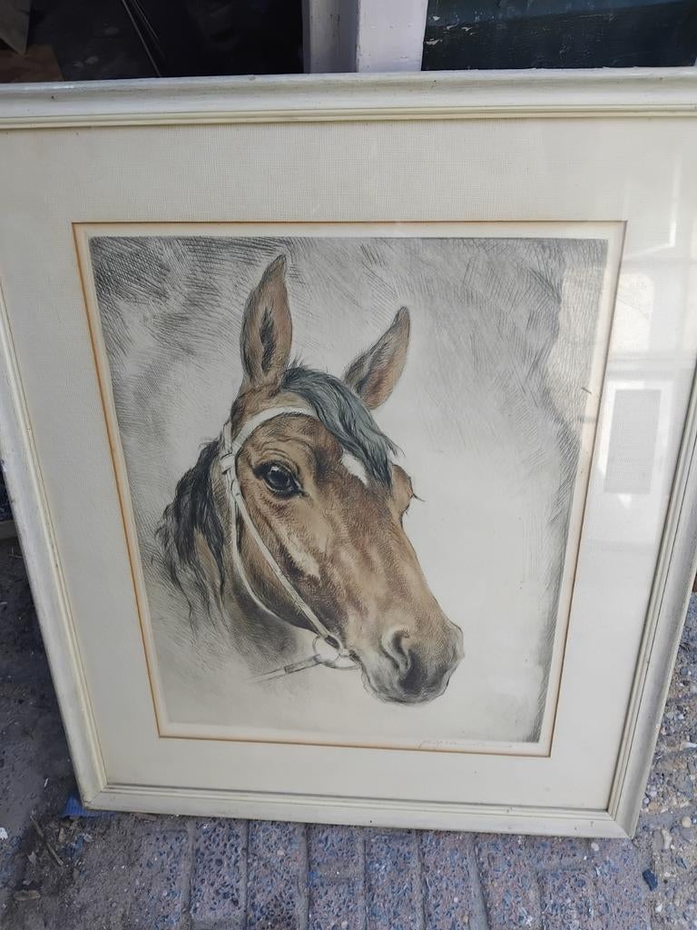 Prent paard, Antiek en Kunst, Ophalen