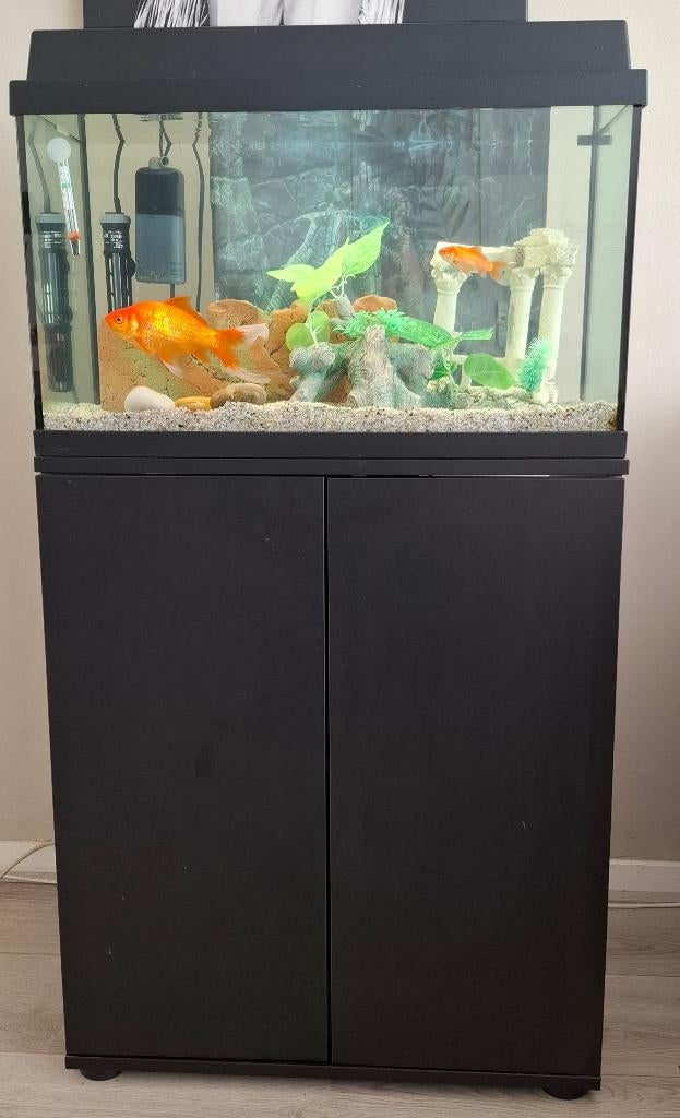 Aquarium incl. Vissen, Vis