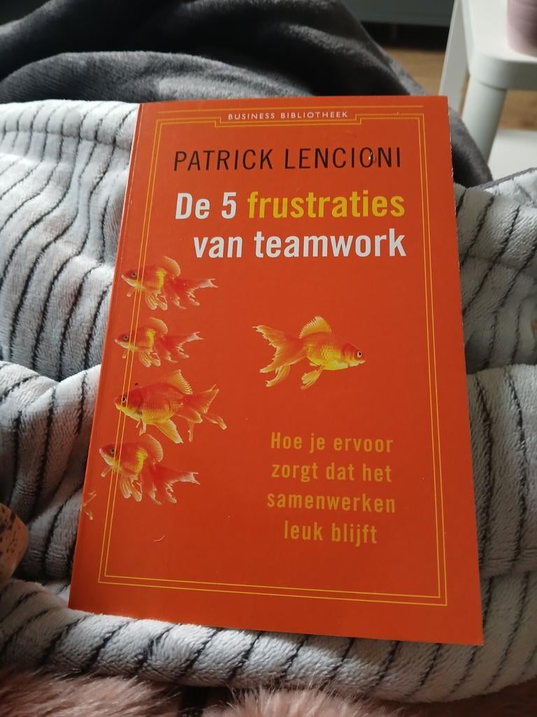 De 5 frustraties van teamwork - Patrick Lencioni, Boeken, Ophalen of Verzenden, Zo goed als nieuw, Management, Patrick Lencioni