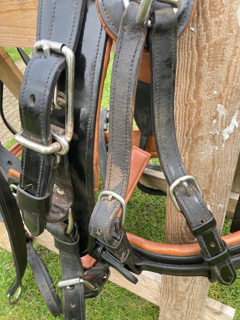 Enkelspan tuig maat COB, Dieren en Toebehoren, Ophalen of Verzenden, Gebruikt, Overige soorten