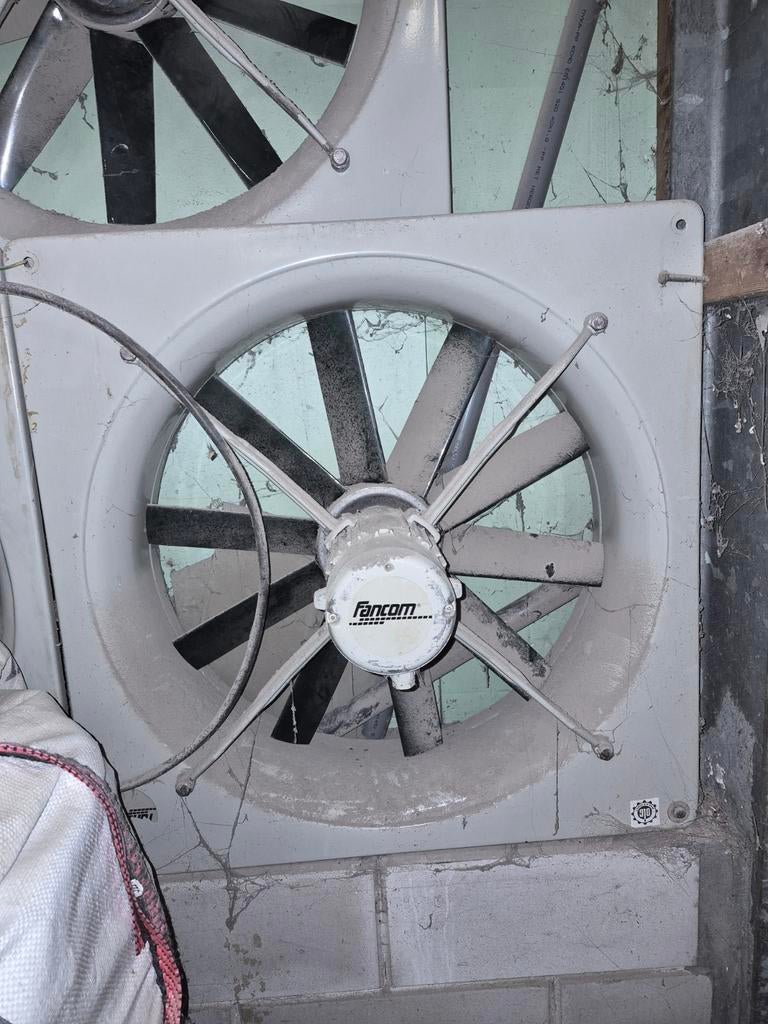 Fancom drukventilatoren, Dieren en Toebehoren, Meerdere dieren, Varken