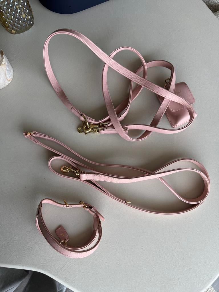 Le Olive leren hondentuig, 2 hondenriemen, poepzakjeshouder, Ophalen, Nieuw