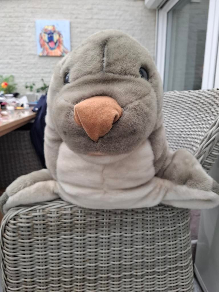 Grote zeehond knuffel,  1 meter, Ophalen of Verzenden, Overige typen