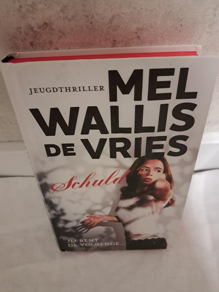 Jeugd thriller Boek: Schuld Mel Wallis de Vries, Mel Wallis de Vries, Fictie, Ophalen, Gelezen
