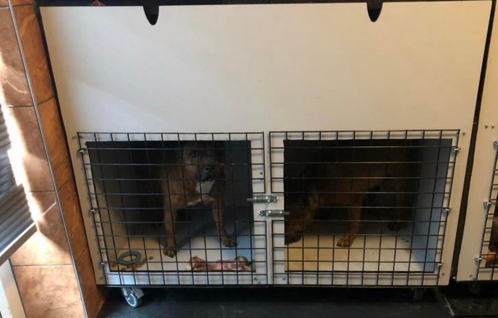 Honden Bench/honden verblijf, Ophalen, Gebruikt