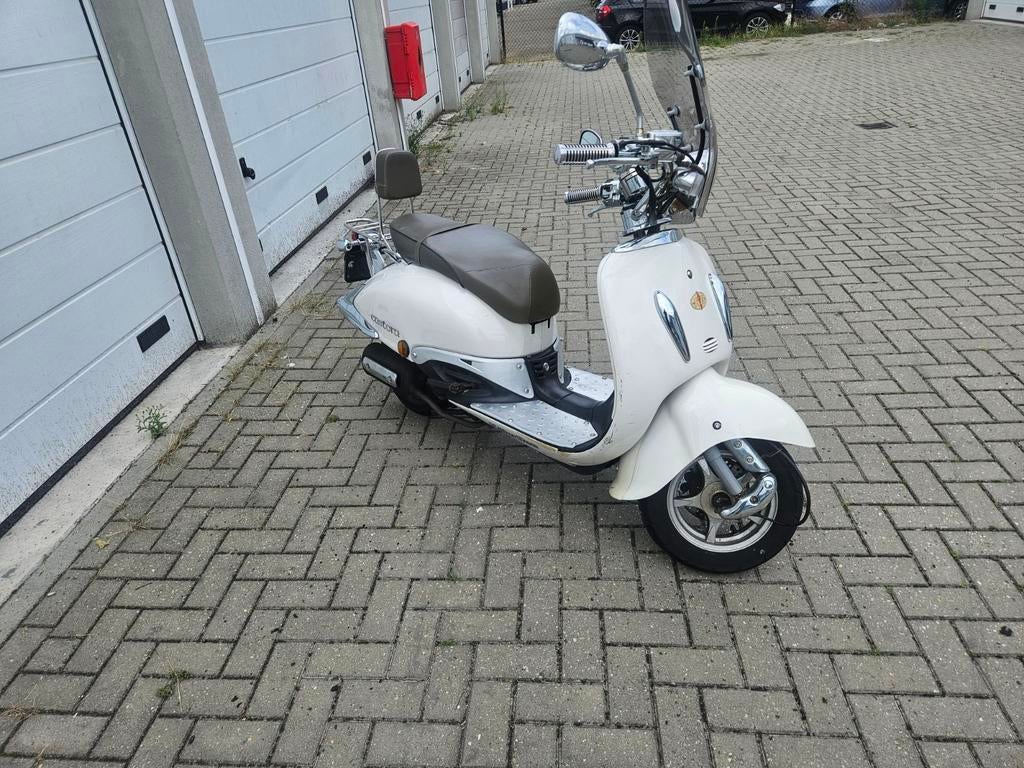 Killerbee Custom blauw kenteken, Ophalen