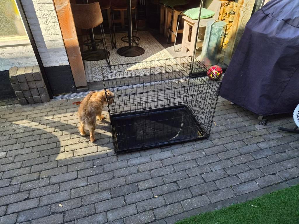 Hondenbench, Dieren en Toebehoren, Hondenbenches, Ophalen