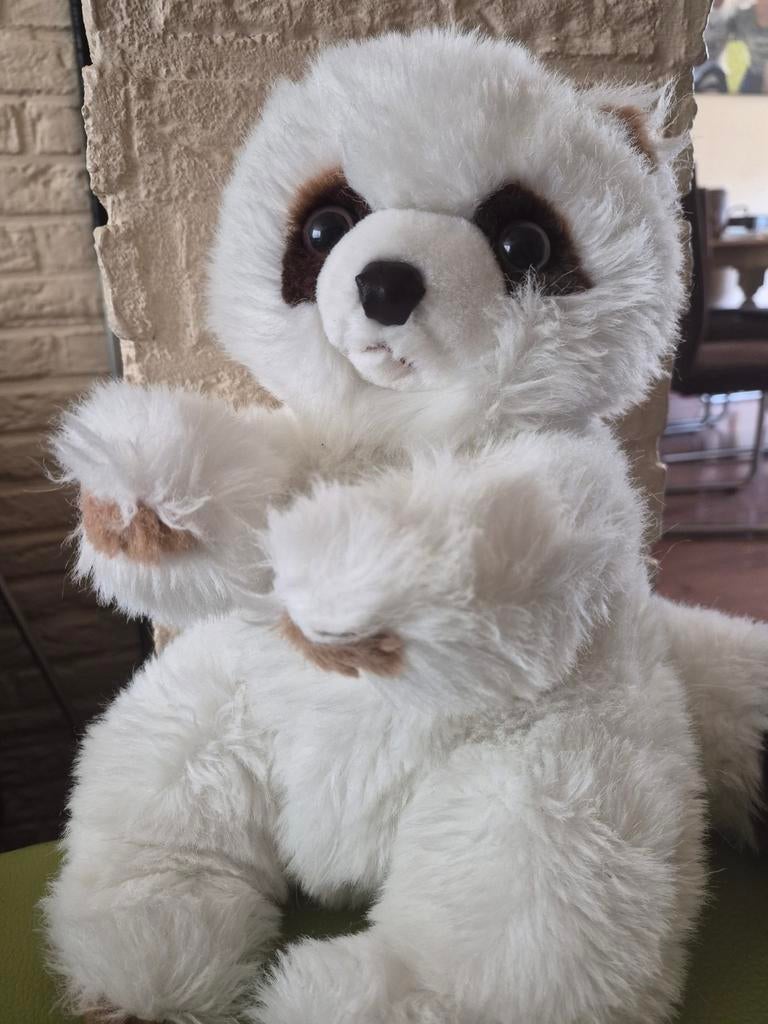 Wasbeer knuffel. Of panda?, Ophalen of Verzenden, Zo goed als nieuw, Overige typen