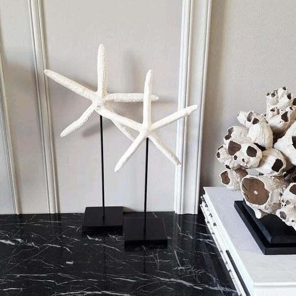 Mooie grote zeesterren op voet vakkenkast chique, Nieuw, Ophalen of Verzenden, X, X