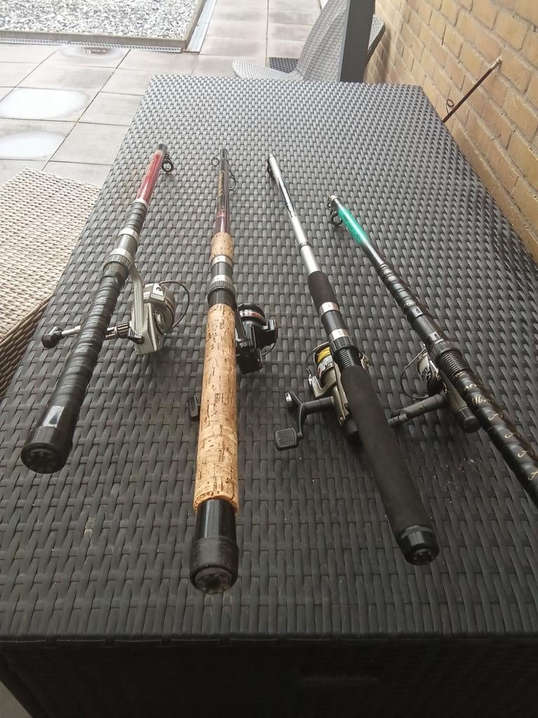 Telescoop hengels met molen 15 euro, Ophalen, Zo goed als nieuw, Molen