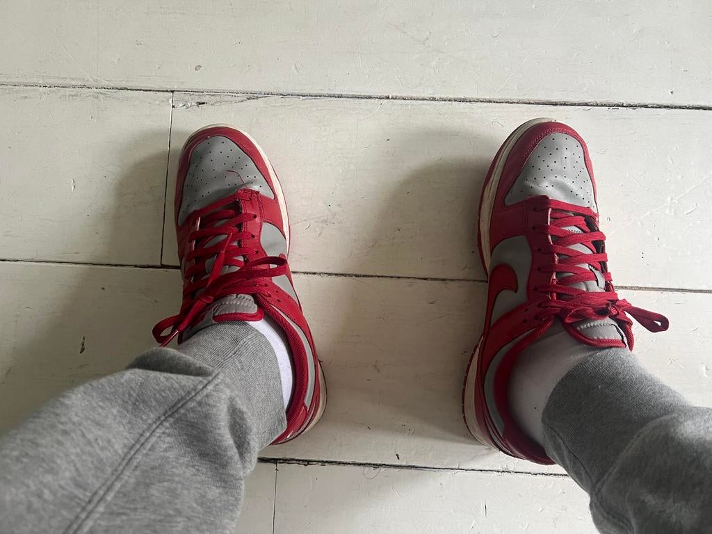 Nike Dunk Low 45, Ophalen of Verzenden, Sneakers of Gympen, Gedragen, Rood