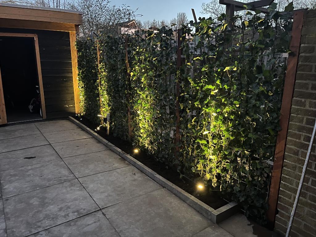 Hedera kant en klaar haag - Hedera scherm - Hedera Rek, Ophalen of Verzenden, Overige soorten, 100 tot 250 cm