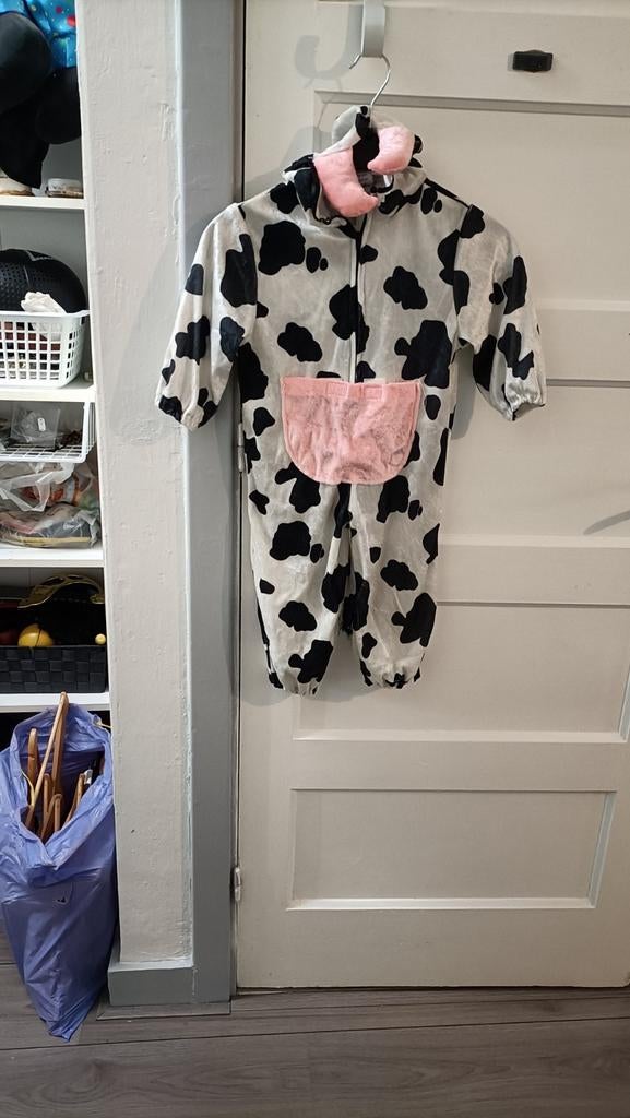 Carnavalskleding voor kinderen, Kinderen en Baby's, Carnavalskleding en Verkleedspullen, Ophalen of Verzenden, Gebruikt, 104 of kleiner