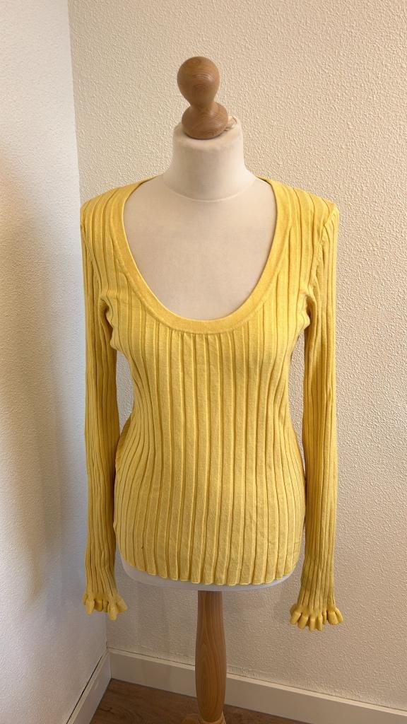 Fabienne Chapot maat L gele Ida pullover trui 935, Geel, Maat 42/44 (L), Ophalen of Verzenden, Zo goed als nieuw