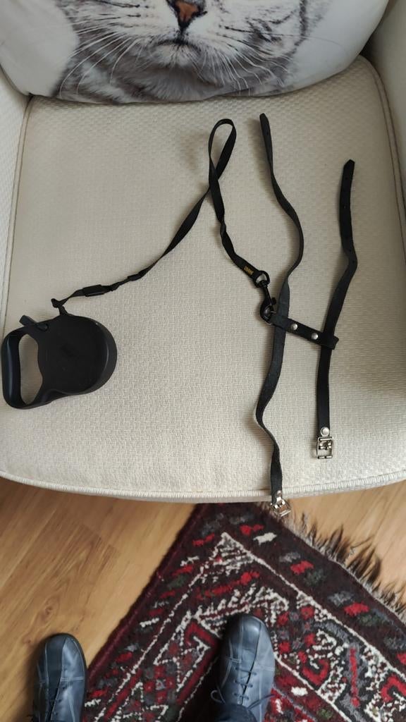 Katten riempje, Ophalen, Gebruikt