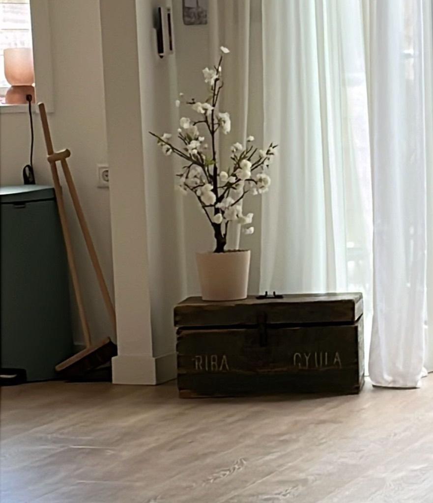 koffer leger munitie gereedschap kist RIBA GYULA 1910???, Ophalen of Verzenden