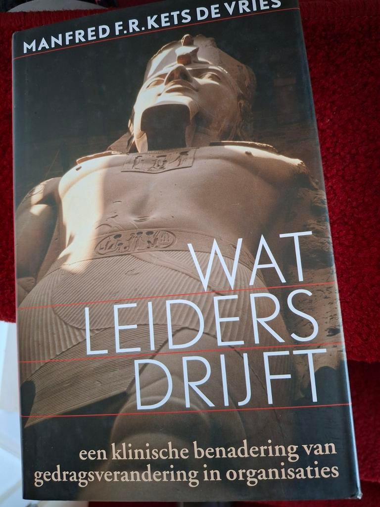 Manfred F.R Kets de Vries - Wat leiders drijft, Ophalen of Verzenden, Manfred F.R Kets de Vries, Management, Zo goed als nieuw