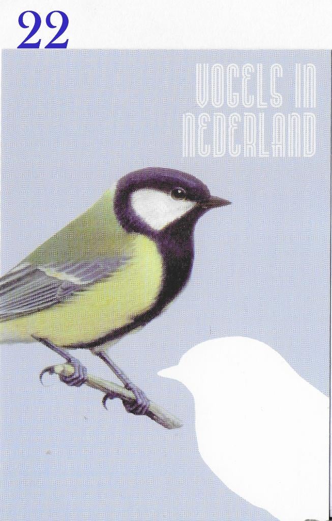 Ansichtkaart Vogels in Nederland Koolmees ( B3952 ), Verzamelen, Verzenden, Voor 1920, Ongelopen