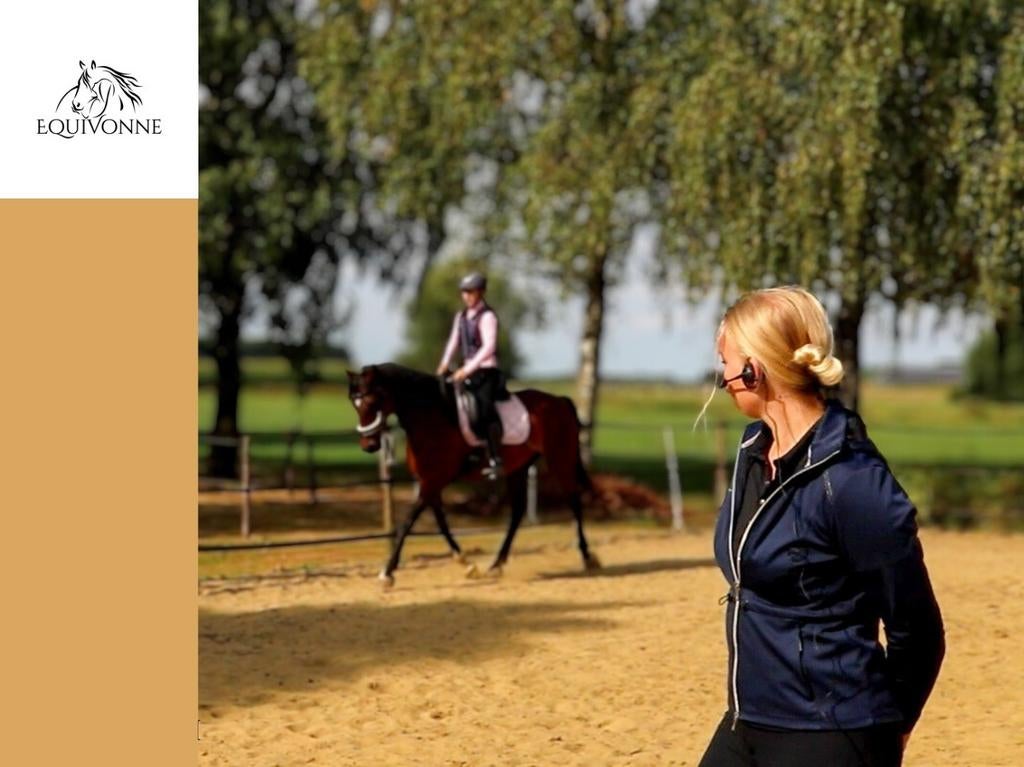Paardrijles | coaching | dressuur, springen en grondwerk, Paardrijles of Ponykampen
