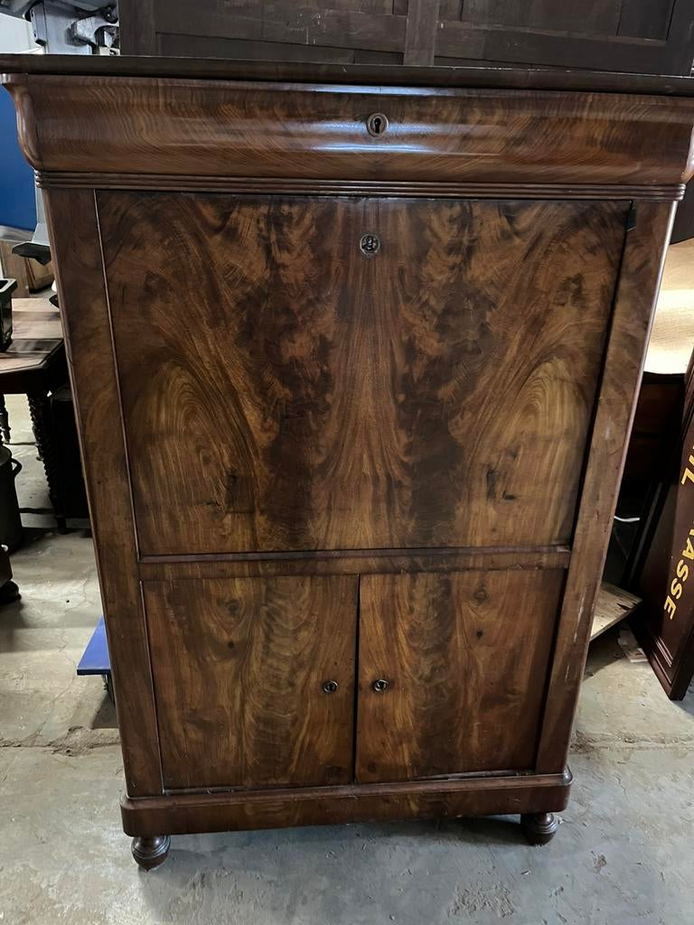 Mahonie sectretaire, Ophalen of Verzenden