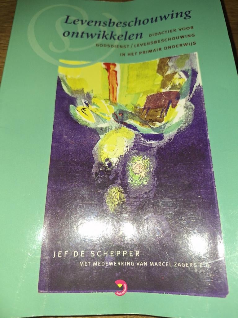 Levensbeschouwing ontwikkelen - Jef de Schepper, Ophalen of Verzenden, Gelezen, Niet van toepassing, Jef de Schepper