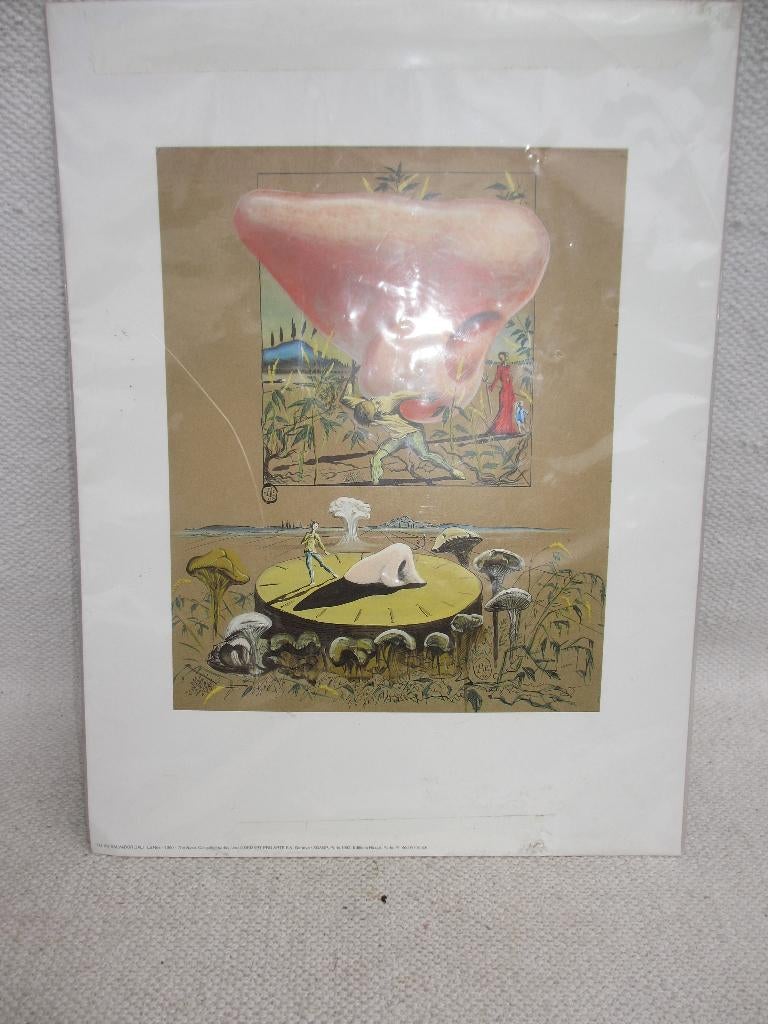 SALVADOR DALI, « LE NEZ, 1950 » zeldzame ARTPRINT 1993, Antiek en Kunst, Kunst | Etsen en Gravures, Ophalen of Verzenden