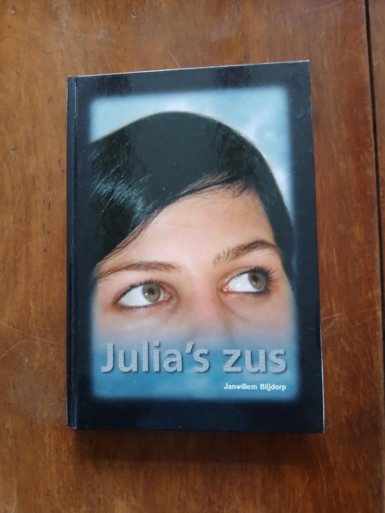 WD015. Julia's Zus - Janwillem Blijdorp, Boeken, Romans, Zo goed als nieuw, Ophalen of Verzenden