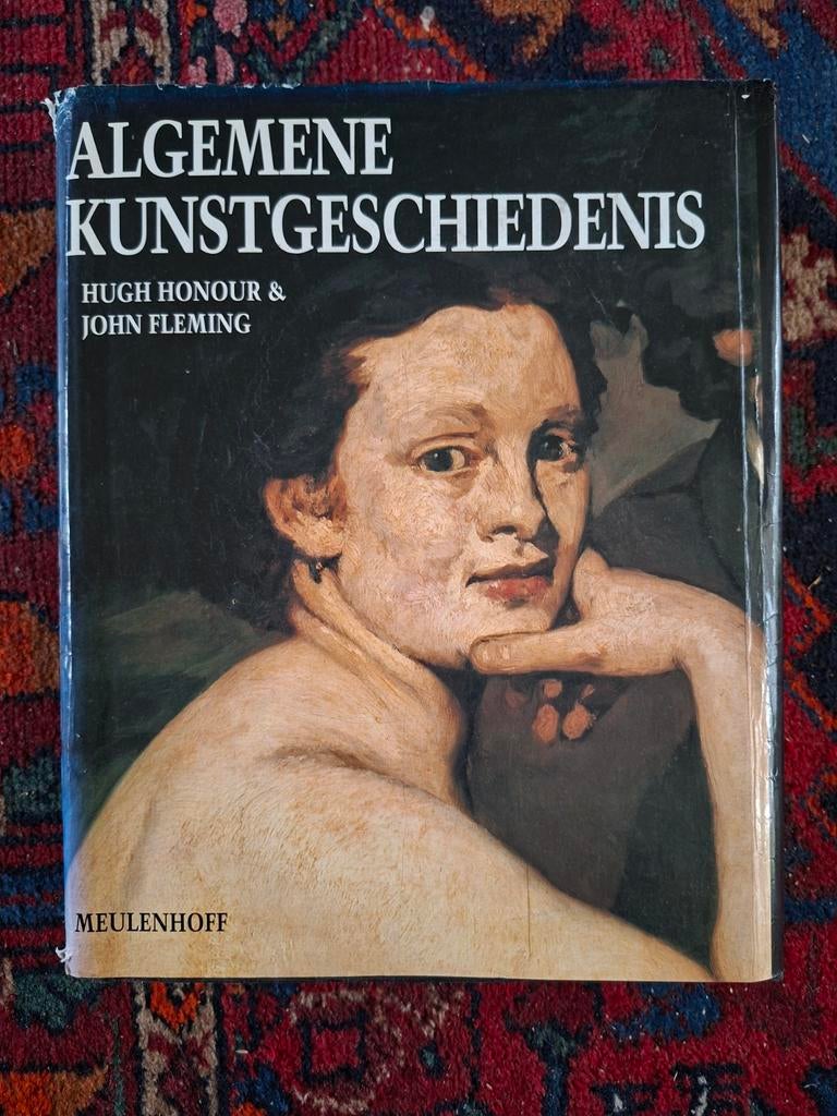 John Fleming - Algemene kunstgeschiedenis, Boeken, Ophalen of Verzenden, Zo goed als nieuw, John Fleming; H. Honour