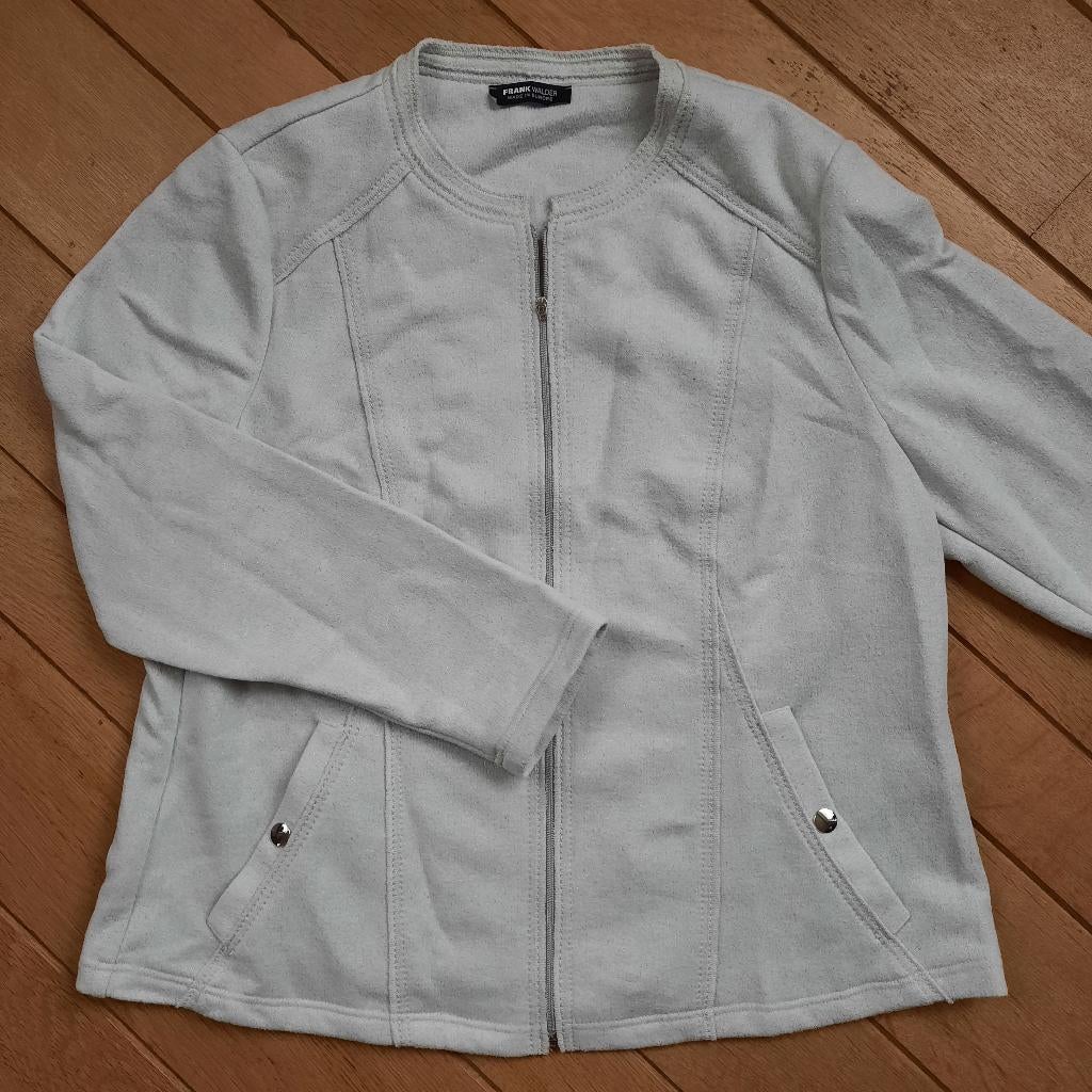 Frank Walder vest zilver grijs maat 44, Maat 42/44 (L), Ophalen of Verzenden, Zo goed als nieuw, Grijs