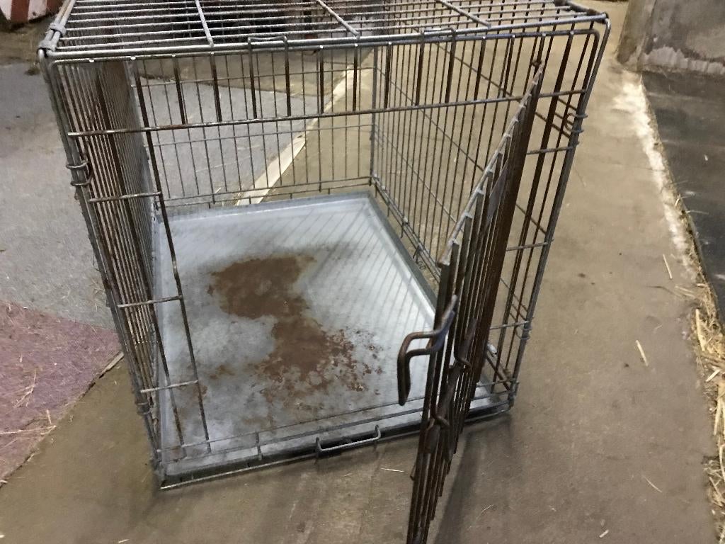 bench, Ophalen of Verzenden, Zo goed als nieuw