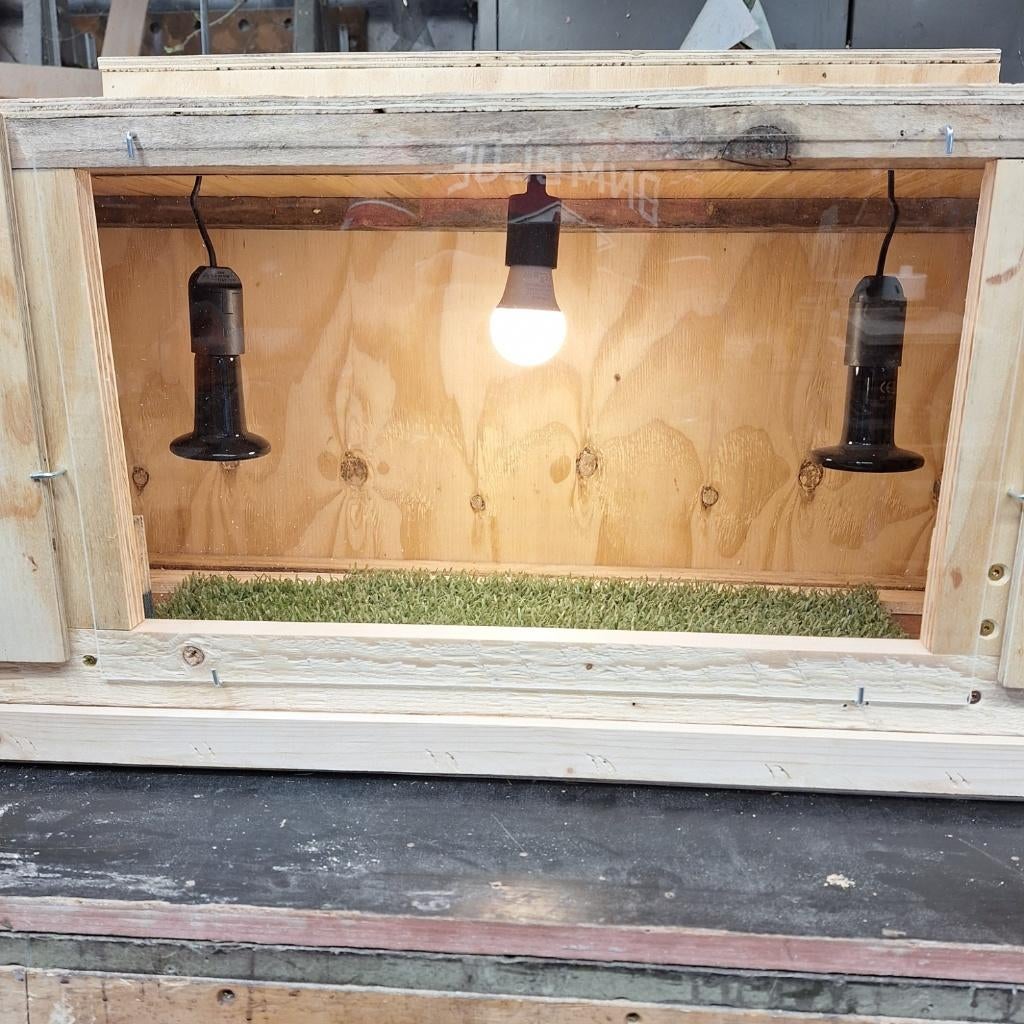 Kuiken opfokkast, Dieren en Toebehoren, Meerdere dieren, Overige soorten