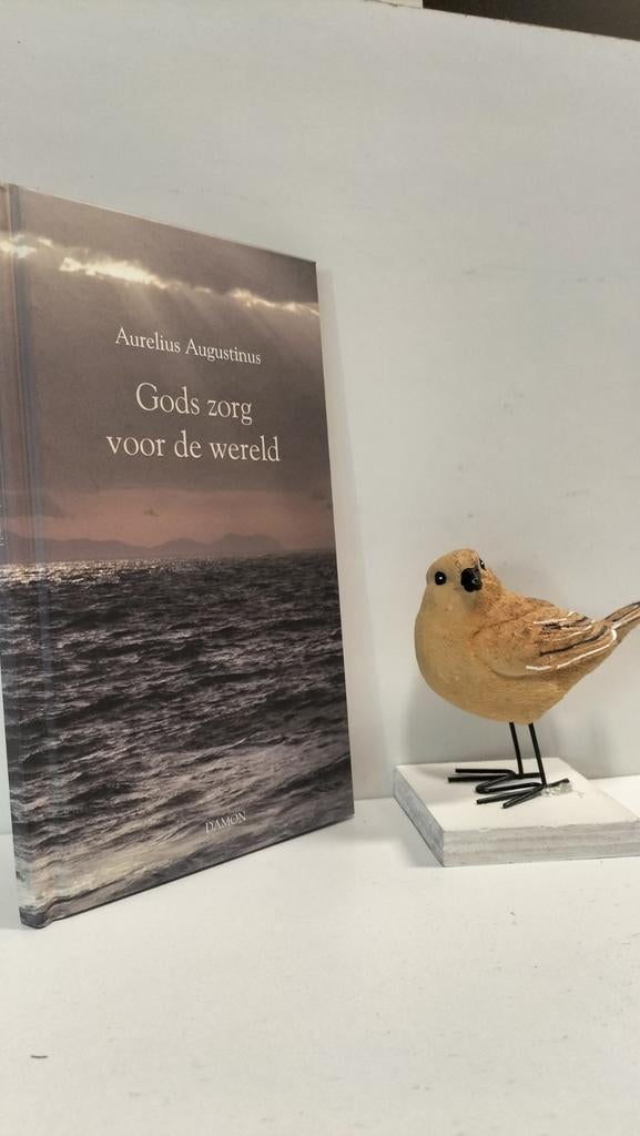 Augustinus, Aurelius; Gods zorg voor de wereld, Boeken, Ophalen of Verzenden, Gelezen, Christendom | Katholiek