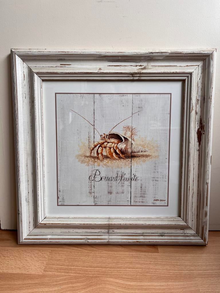 Schelpen posters in witte houten lijst 45x45, Huis en Inrichting, Ophalen of Verzenden, Zo goed als nieuw, Hout, Minder dan 50 cm